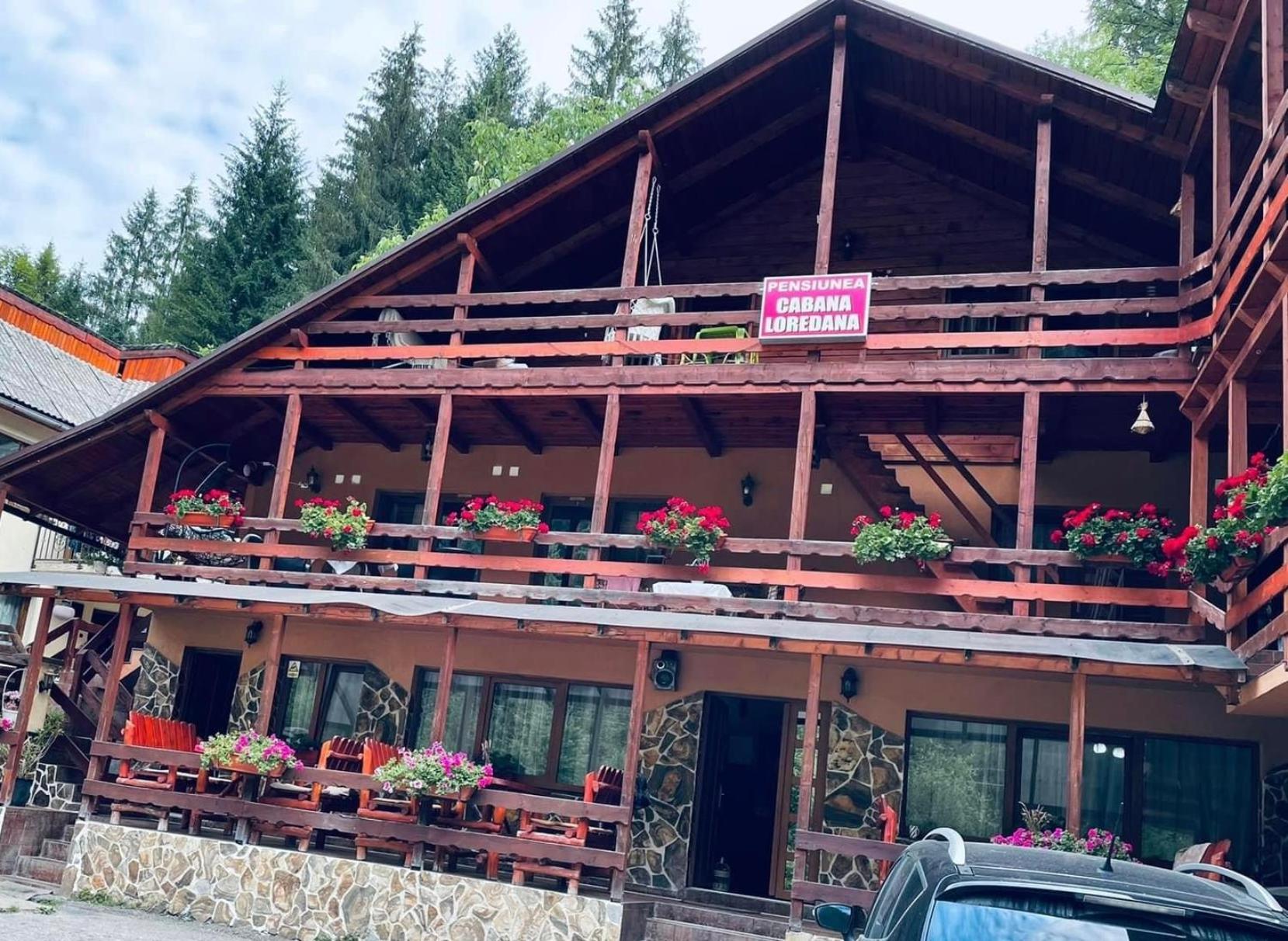 Cabana Loredana Vadu Motilor Exterior foto
